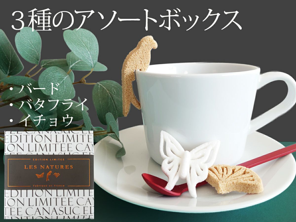 シュガーキューブ - ザッチェルズ（Zatchels）日本公式サイト